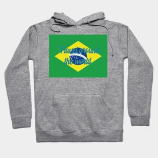 Travel Around the World - Brazil Hoodie